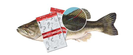 Tagged Fish Lucky Envelopes Fishing Contest