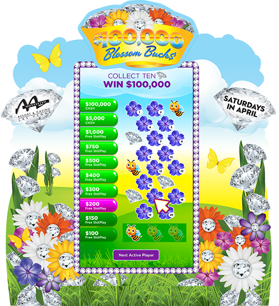 Blossom Bucks e-Game Board