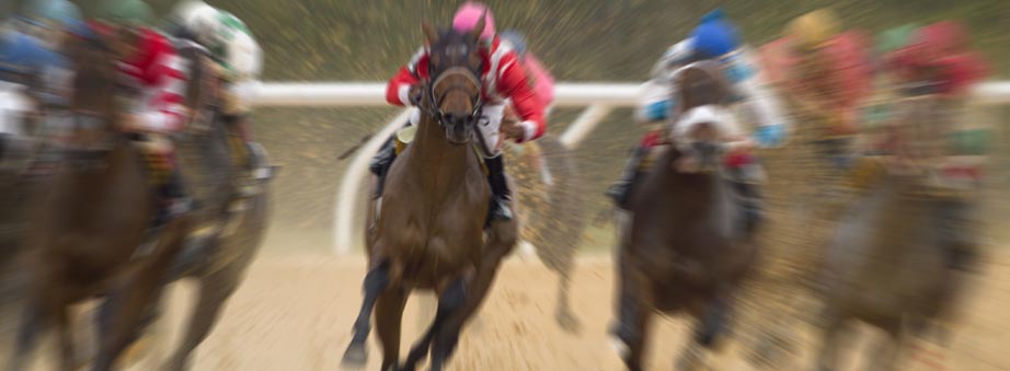 Banner Bar for horse-dog-racing