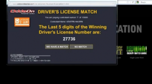 Drivers License Match Promotion - Online Verification