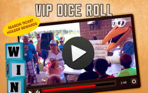 VIP Dice Roll